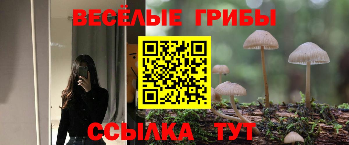 Галлюциногенные грибы ЛСД Муром