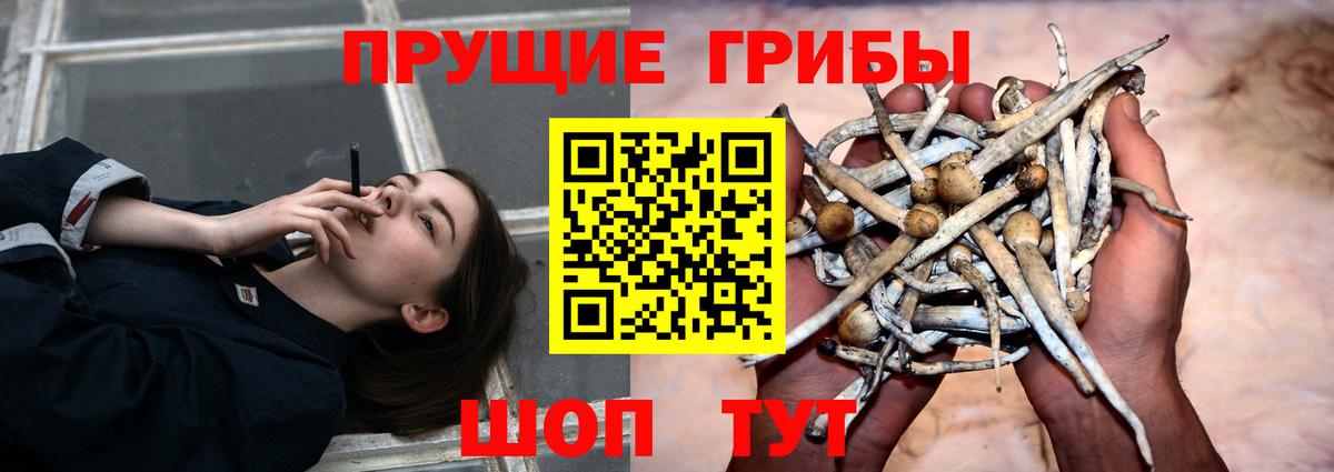 Муром  Псилоцибиновые грибы мицелий  Вход с VPN 