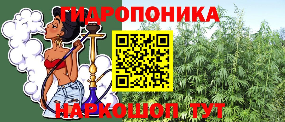 Бошки марихуана Bruce Banner  Конопля индика  Конопля OG Kush  Бошки Шишки OG Kush  Вход с VPN  Муром 